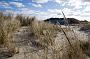 031 Texel